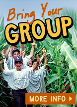 Bring your group to Farmland Adventures - Group activities, campfire, parties, and more!
