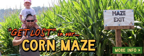 Giant Corn Maze - Northwest Arkansas