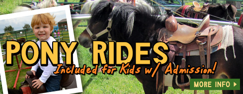 Pony Rides - Springdale, AR